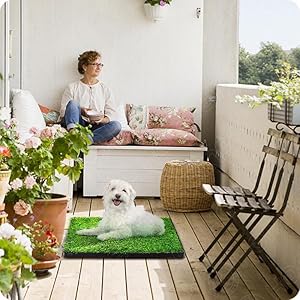 Hompet Hundeklo Hundetoilette Welpentoilette Trainingsunterlage, Indoor Hundetöpfchen, Hunde Training Rasenmatte für Kleine Hunde Grosse Hunde ältere 63 x 51cm