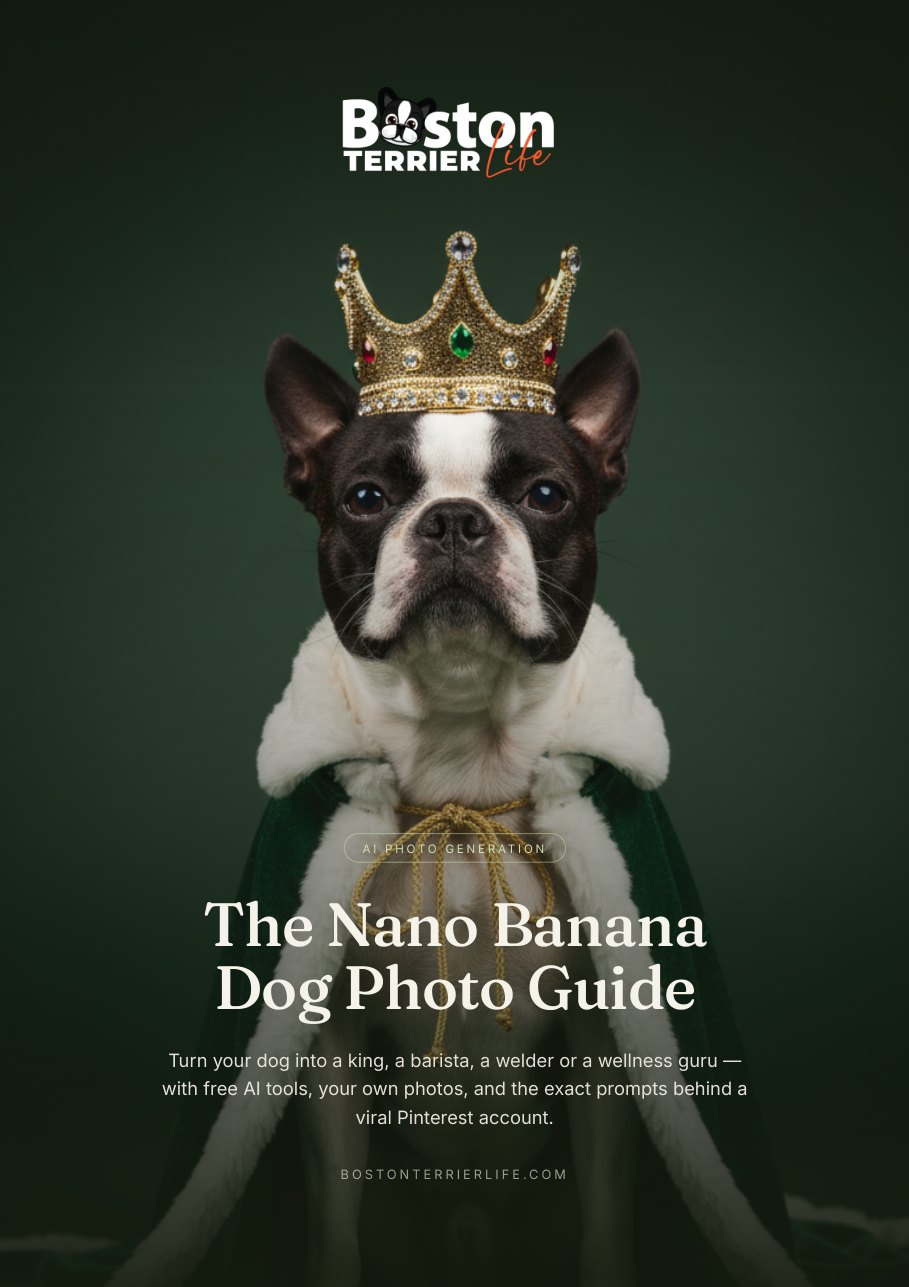 Cover of The Nano Banana Dog Photo Guide